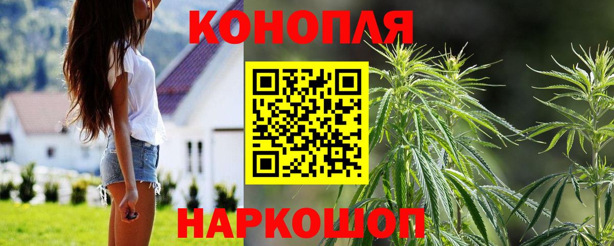 Бошки Шишки ГИДРОПОН  Конопля VHQ  Бошки марихуана OG Kush  Вход с VPN  Владикавказ 